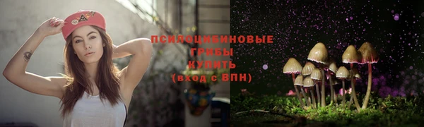 молекула духа Балахна
